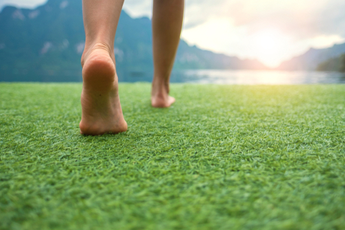 Earthing and Grounding for the Skeptical