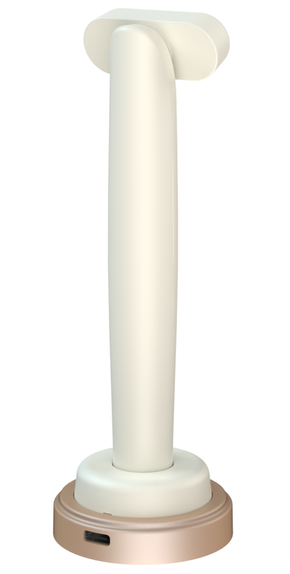 Red Light Therapy Facial Wand