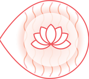 Nervous System Rebalance: