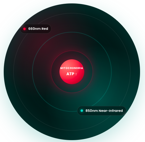 How does red light therapy work?