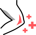 Repairs wounds and tissue
