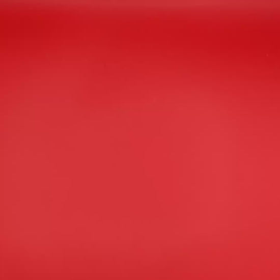 Red Light Therapy Facial Wand