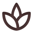 Deep Detoxification